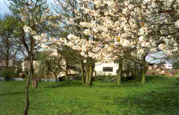 Tetlow Fold, Godley