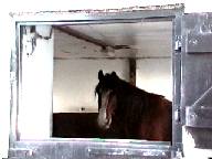 The Stables at Tetlow Fold, Godley